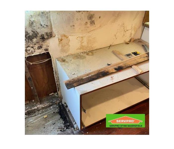 Mold Remediation