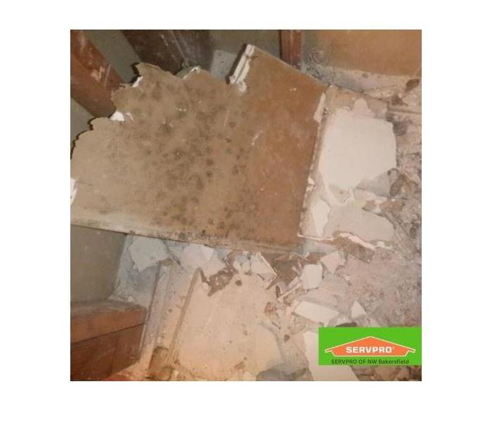 Mold growth 